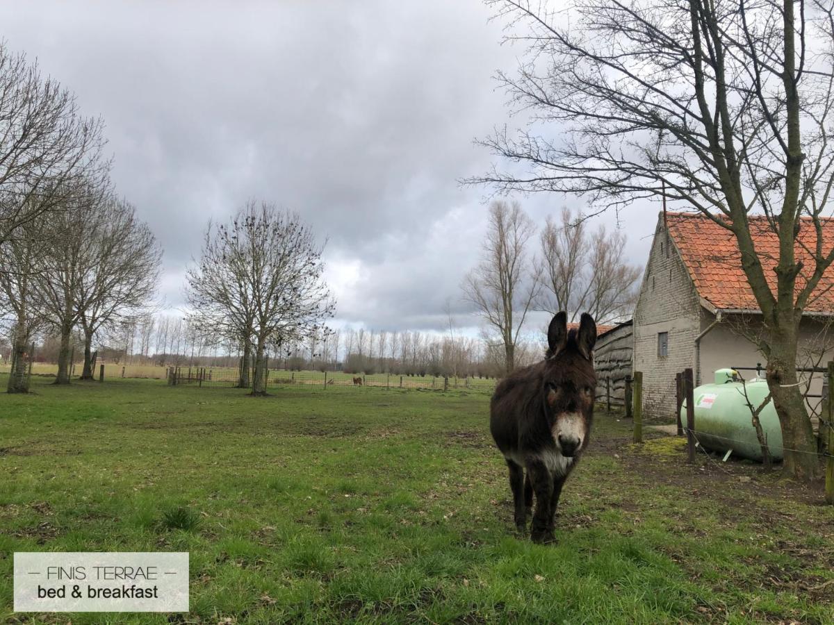 Appartement Aan Puyenbroeck ワハテベーケ エクステリア 写真
