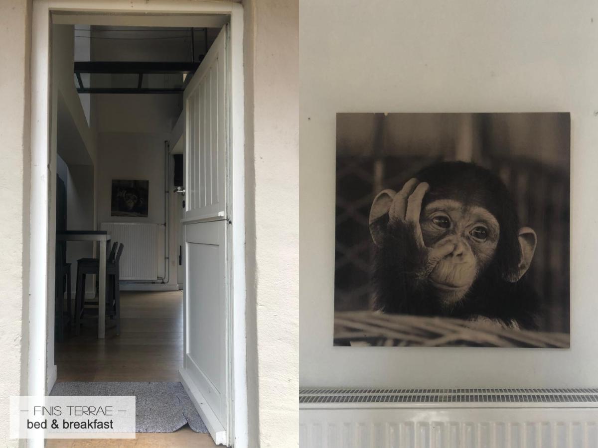 Appartement Aan Puyenbroeck ワハテベーケ エクステリア 写真